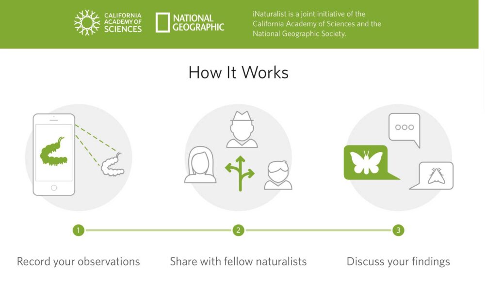 An Introduction to iNaturalist by Janet Wooten - The Linnaean Society ...