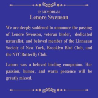 We are deeply saddened to announce the passing of Lenore Swenson, veteran birder,  dedicated naturalist, and beloved member of the Linnaean Society, Brooklyn Bird Club, and the NYC Butterfly Club. Lenore was a wonderful companion and an inspiration to all. Her passion for ornithology and her warm presence will be greatly missed.
In the spirit of the Cardinal, a symbol of loved ones’ presence, we keep Lenore’s spirit with us. Our heartfelt condolences go out to her family and friends. Rest in peace, Lenore. Your legacy will live on in the beauty of the birds you loved.