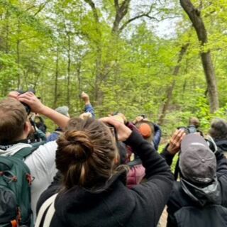 What are these lucky ducks doing? Why they are experiencing the wonder of fall migration with the Linnaean Society of New York. Our weekly, leader-led fall migration walks run every Tuesday morning in September and October. Everyone is welcome, and registration on our website is required. (Photo: Christina Black) #linnaeansocietyofnewyork #centralpark #fallmigration #birding #newyorkcity