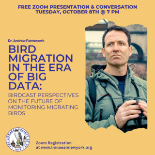 Please join us on Tuesday, October 8th, for our second general meeting of the year. Register at: https://bit.ly/LSNYOCT24ZOOM⁠
⁠
Our speaker, Dr. Andrew Farnsworth, is a Visiting Scientist at the Center for Avian Population Studies at the Cornell Lab of Ornithology. He will talk about monitoring bird migration with data collected by citizen scientists and the US weather surveillance radar network, among other sources of information. This data is used to forecast where, when, and how many birds will migrate and to observe these movements in near real-time at a continental scale. It's going to be a fascinating talk! Please join us. ⁠
⁠
#LSNY #LSNYbirds #LinnaeanNY #LinnaeanSocietyofNewYork #StayCurious #AMNH #Birds #Ornithology #Conservation #Nature #Birding #Zoom #ClimateChange #Migration #CitizenScience⁠