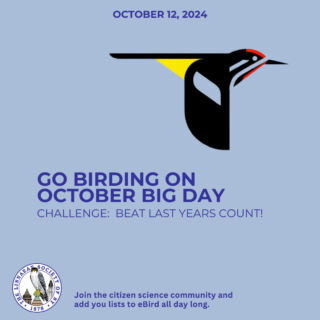 Cornell Lab is sponsoring October Big Day on 10/12/24 and we want you to participate! https://bit.ly/Oct2024BigDay⁠
⁠
October Big Day is an opportunity to unite around our shared love of birds. Wherever you are on 12 October, take a few minutes to join in this global celebration. Participate from anywhere—even from home! By taking part in October Big Day you’re also celebrating Global Bird Weekend and World Migratory Bird Day. Be a part of the global team and help set a new record for October birding.