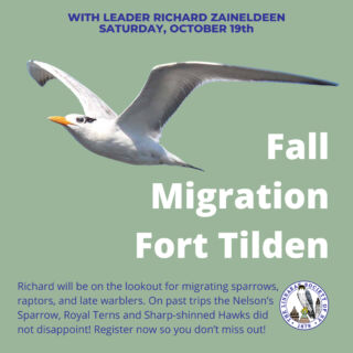 Join us for a fall migration walk in Fort Tilden with our excellent leader, Richard ZainEldeen, on Saturday, October 19th, 2024. Past trips have seen Nelson's Sparrow, Royal Terns, Sharp-shinned Hawks, and late migrating warblers. Please register on our website and join the fun. ⁠
⁠
#LSNYbirds #LSNY #LinnaeanNY #StayCurious #Birds #Ornithology #Conservation #Nature #Birding #FortTilden