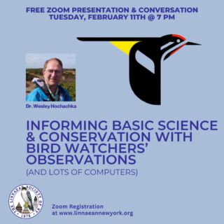 Please join us on Tuesday, Feb 11th, for our general meeting and guest speaker, Dr. Wesley Hochachka from Cornell Lab of Ornithology!

Register at: https://bit.ly/LSNYJFEB11ZOOM
⁠
Our speaker, Wesley Hochachka is a Senior Research Associate at the Cornell Lab of Ornithology, where he has worked since 1998. His presentation will focus how bird watchers observations inform basic science and conservation. ⁠Dr. Hochachka will share insights into bird populations that have been revealed from eBird’s data and how these insights are used. It's going to be a fascinating talk! Please join us.
⁠
#LSNY #LSNYbirds #LinnaeanNY #LinnaeanSocietyofNewYork #StayCurious #AMNH #Birds #Ornithology #Biodiversity #Nature #Birding #CitizenScience