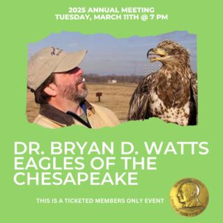 Tonight is our Members Only Annual Meeting featuring Dr. Bryan D. Watts our Eisenmann Medalist who will present his research on Eagle’s and their dramatic recovery in the Chesapeake Bay area. Dr. Watts is the Mitchell A. Byrd Professor of Conservation Biology and Director of The Center for Conservation Biology at William & Mary. He is also the author of more than 600 publications on avian ecology and conservation. 

Congratulations to Dr. Watts for receiving the 2025 Eisenmann Medal.
⁠
#LSNY #LSNYbirds #LinnaeanNY #LinnaeanSocietyofNewYork #StayCurious #AMNH #Birds #Ornithology #Biodiversity #Nature #Birding #CitizenScience